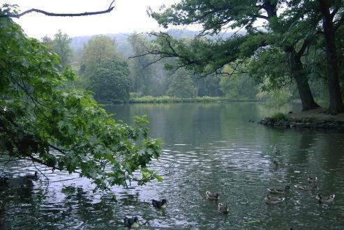 Ferienwohnung Und Pension Guertler Mohlsdorf Kültér fotó